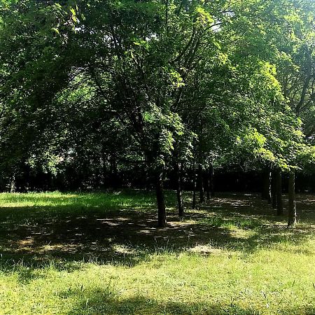Orizzonte Marino Giallo Angolo Solare Verso La Laguna Cavallino-Treporti Εξωτερικό φωτογραφία