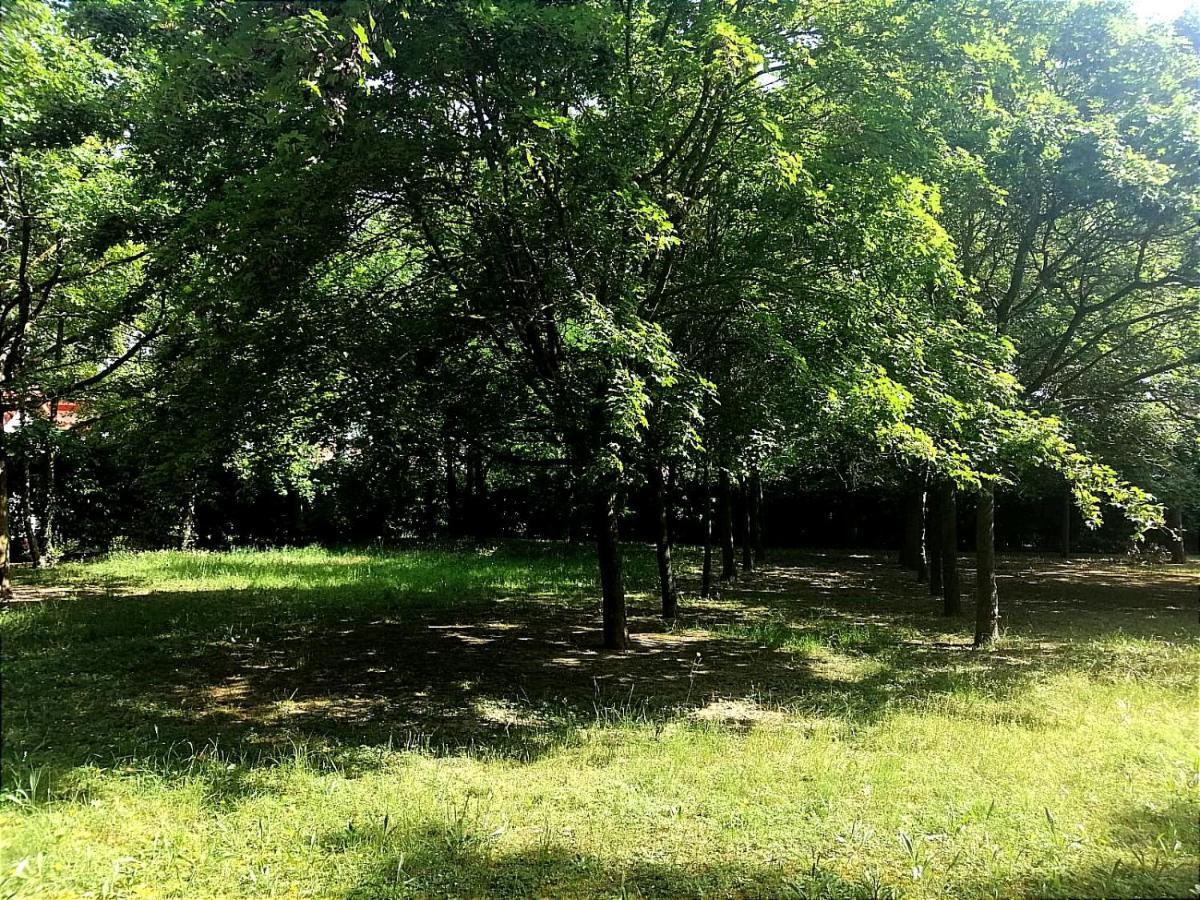 Orizzonte Marino Giallo Angolo Solare Verso La Laguna Cavallino-Treporti Εξωτερικό φωτογραφία